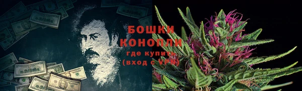 дживик Михайлов