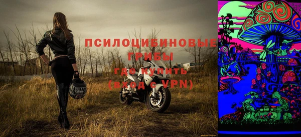 альфа пвп Медвежьегорск