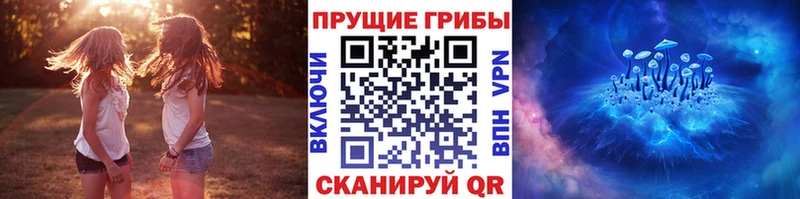Купить где  Правдинск  Псилоцибиновые грибы мухоморы 